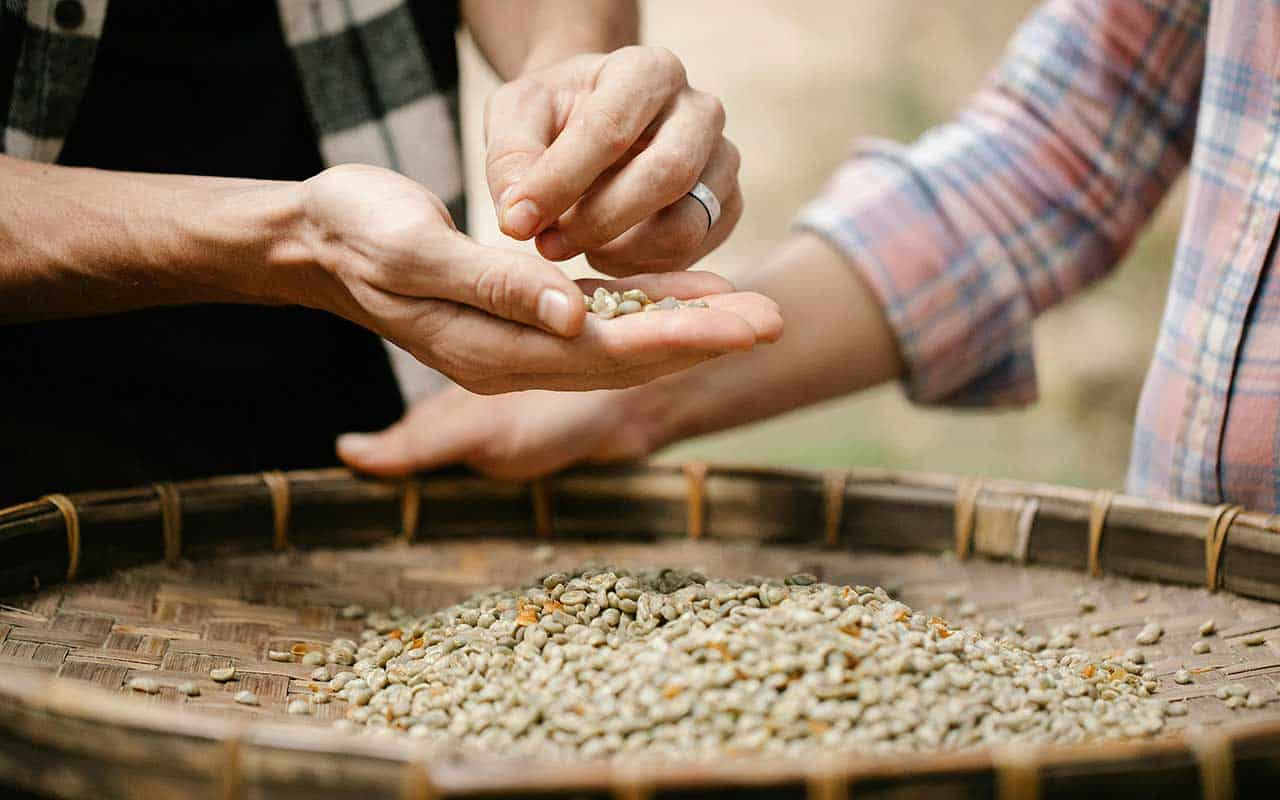 دانه های سبز